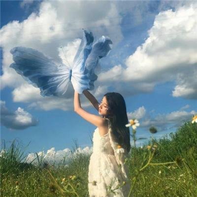 招蜂引蝶