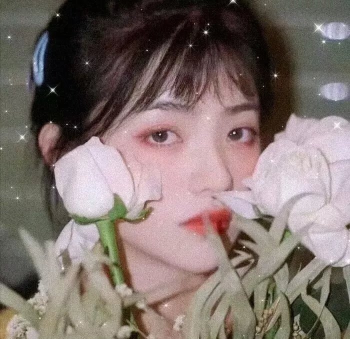 雪里娇花
